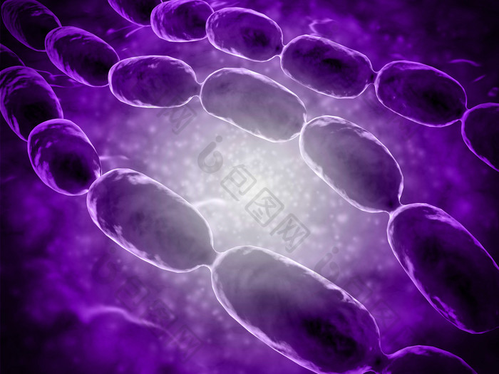 链球菌细胞示例图