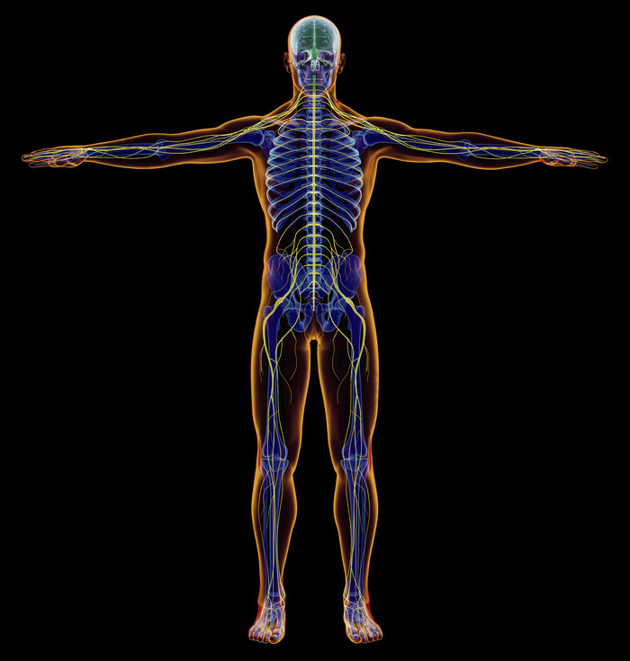 系统x射线检查身体健康