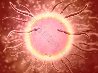 微生物卵母细胞受精示例图