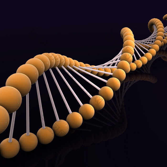螺旋状脱氧核糖酸摄影图