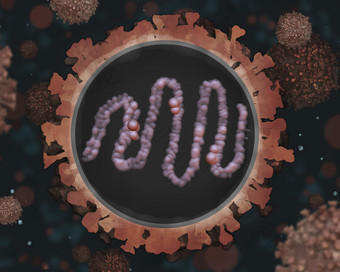 呼吸病毒细胞示例插图