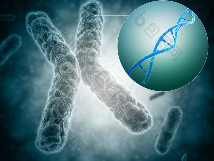 微生物脱氧核糖细胞示例图