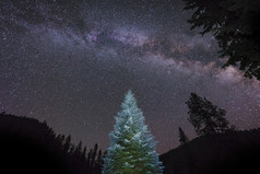 圣诞树星空摄影插图