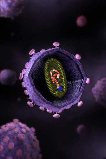 艾滋病毒<strong>细胞</strong>示例插图