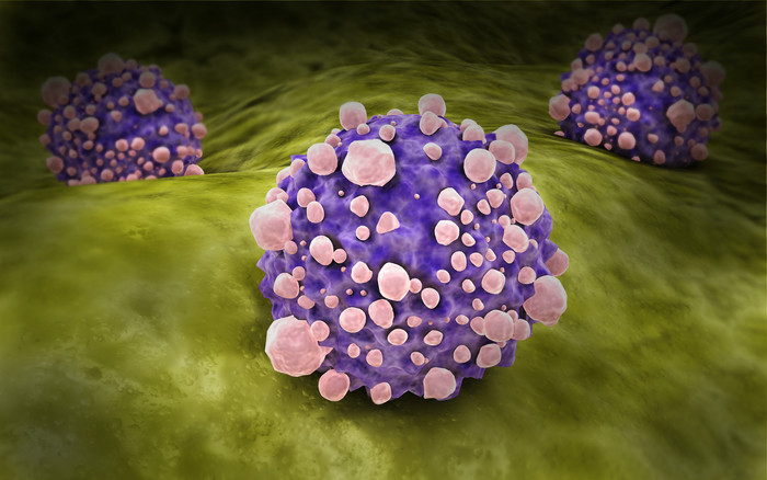 紫色的细菌摄影图