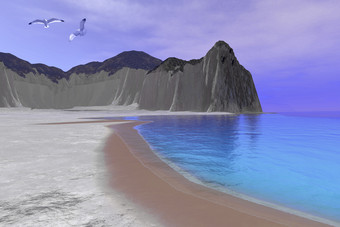 海滩沙鸥风景插图
