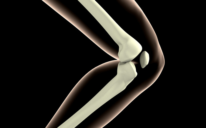 解剖学膝盖骨头结构插图