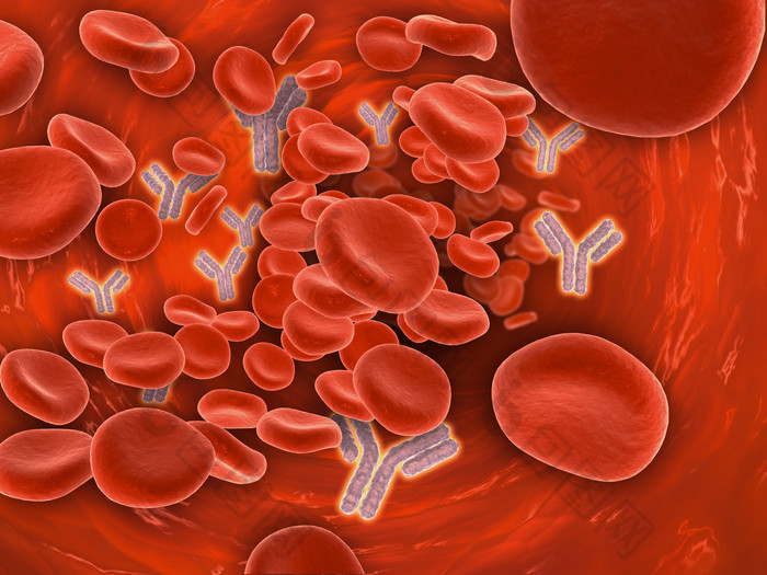 血液微生物细胞活动图