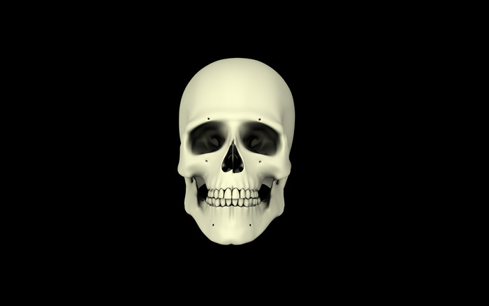 头部骨骼正面示例插图