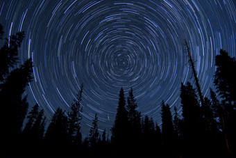 森林夜空摄影插图