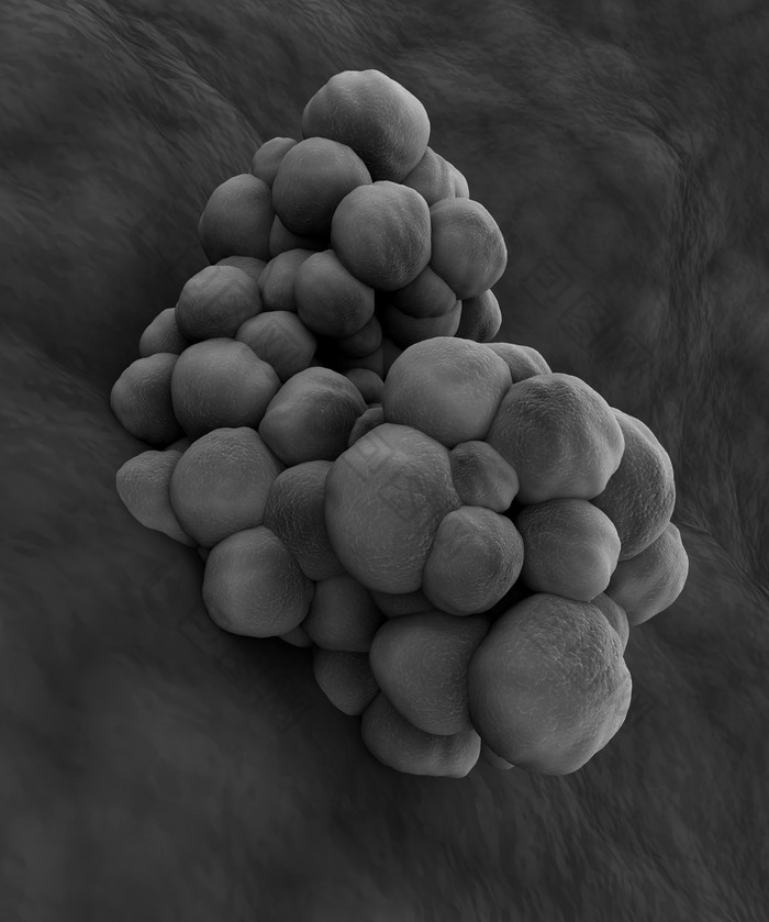 黑色的病毒细菌摄影图