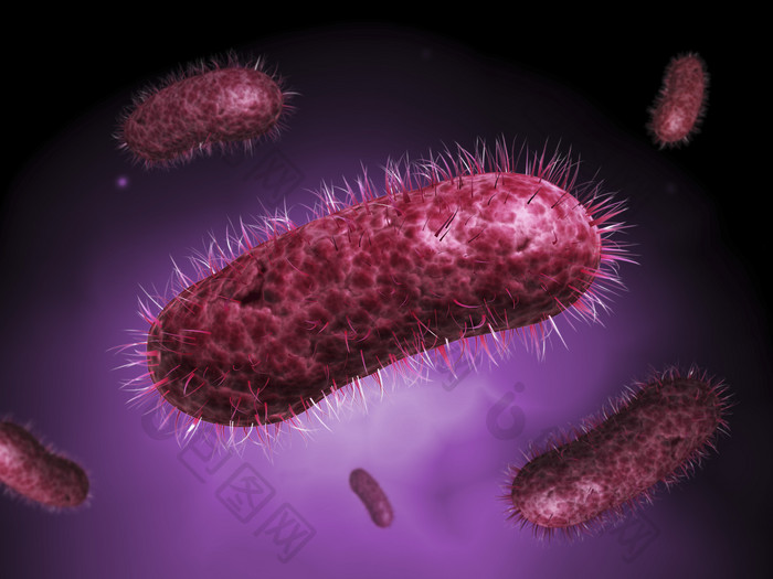 紫色单细胞微生物