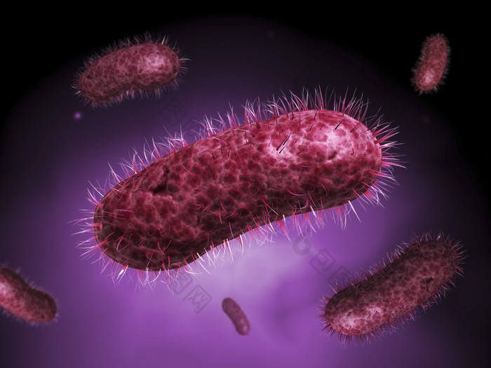 紫色单细胞微生物