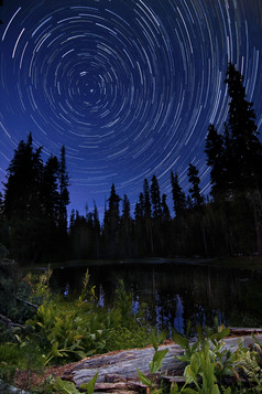 森林夜景星空摄影插图