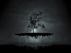 悬浮树木摄影插图
