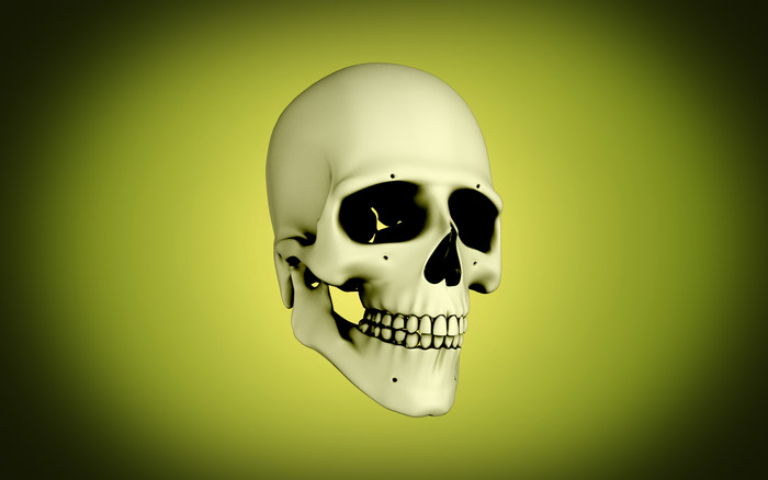 人体头骨示例插图