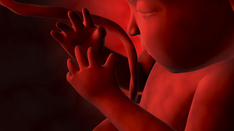 生物医学子宫分娩婴儿