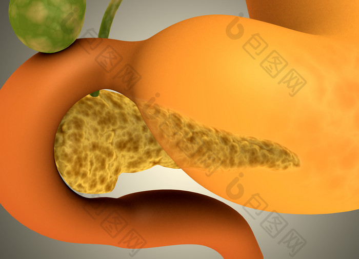 黄色人体胃部摄影图