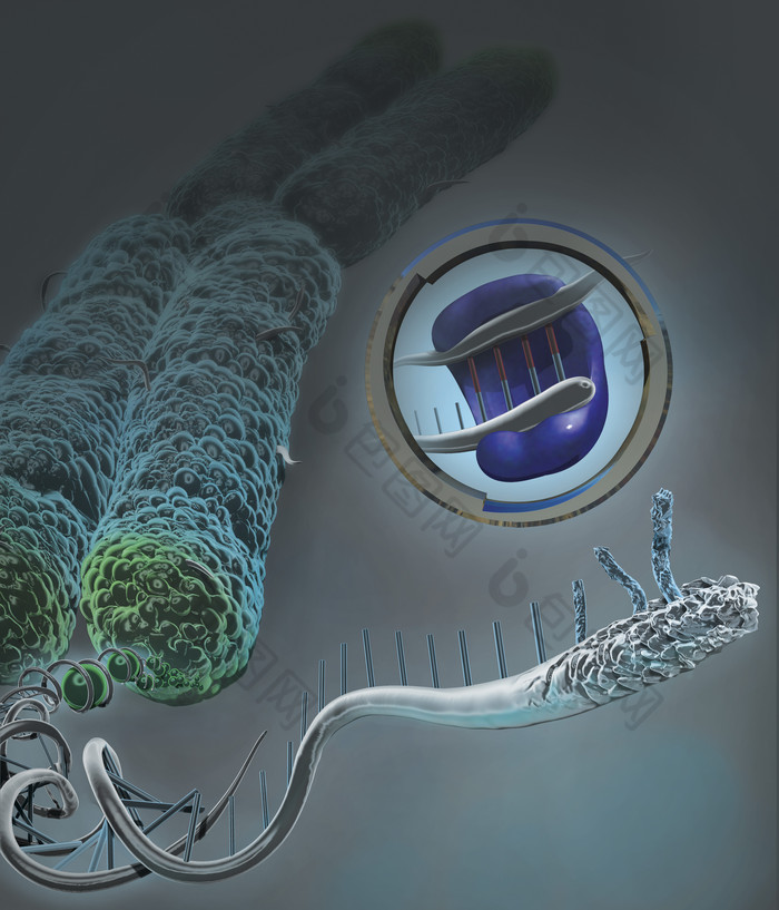 包图网提供精美好看的螺旋细胞示例插图素材免费下载,本次作品主题是