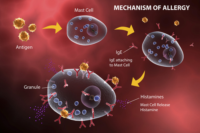 生物医学细胞分子结构
