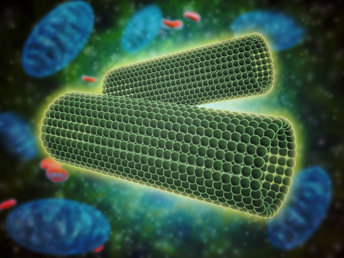 生态学生物分子示例图