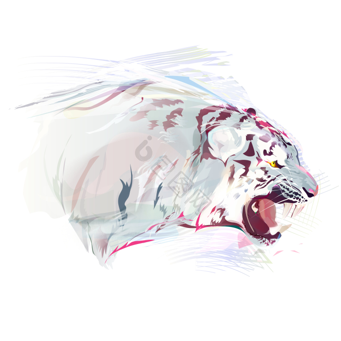 tiger图片-tiger素材免费下载-包图网