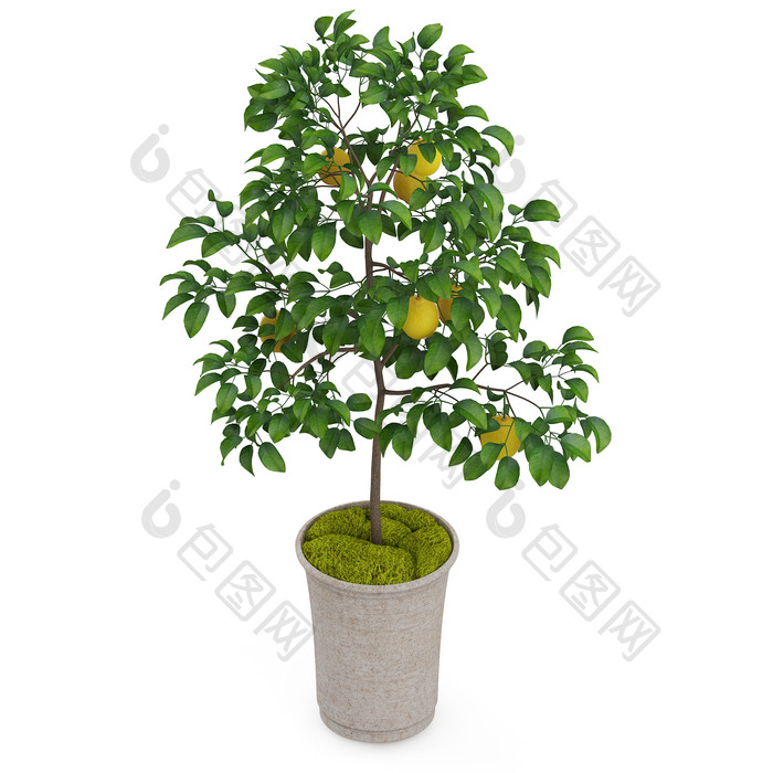 绿植花盆花瓶家居用品