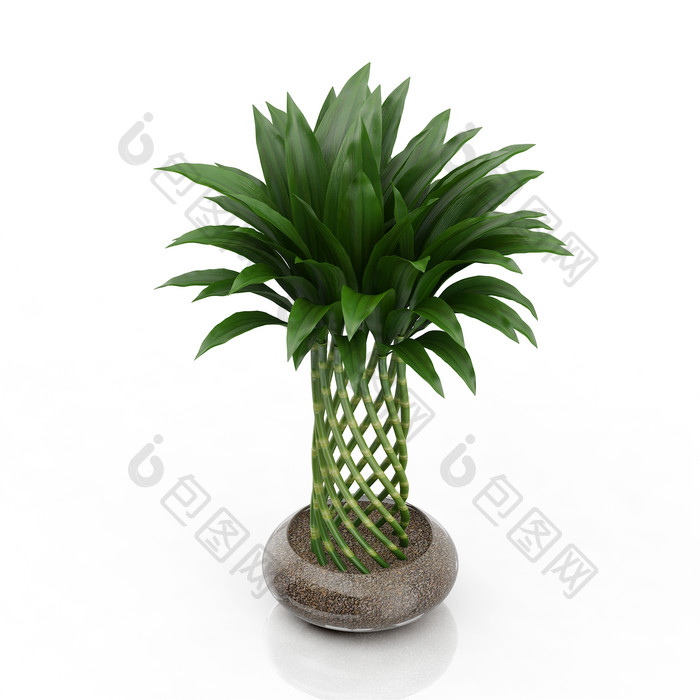 绿植花盆花瓶3d