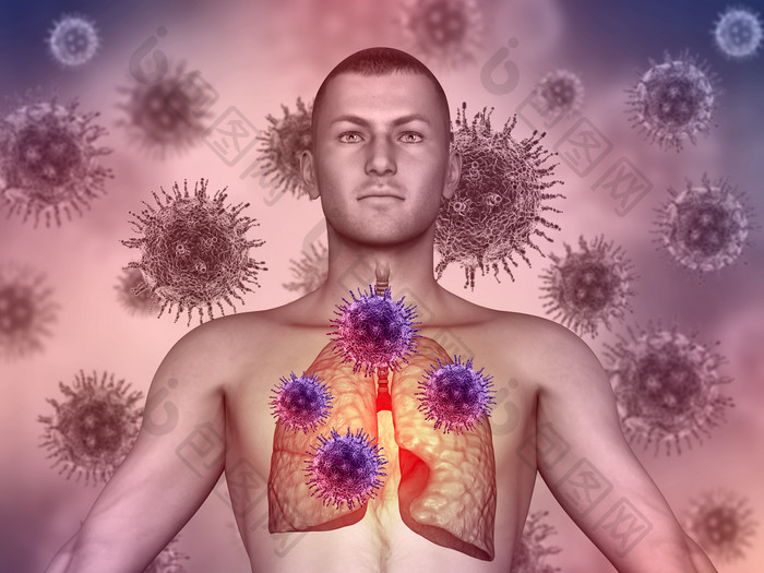 病毒感染人体肺部图片