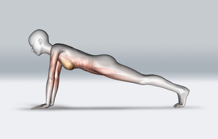一个肌肉突出的平板式女性人物的3D渲染