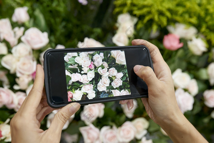 手机给花朵拍照摄影图