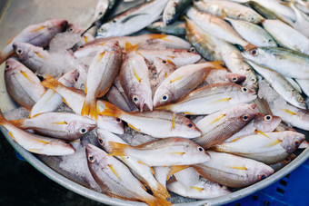 食品海鲜新鲜菠萝