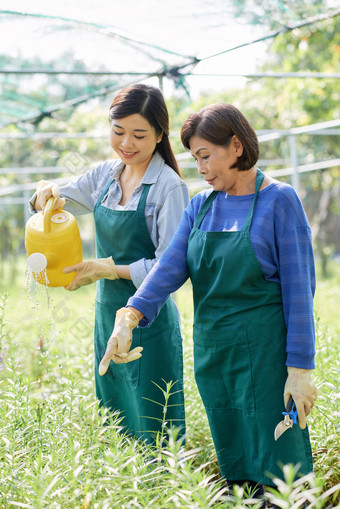 花园给植物浇水的工作人员