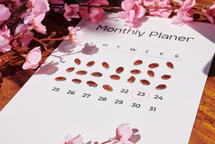 用种子在日历上记录日常
