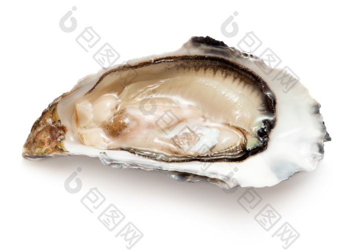 美味的牡蛎摄影图