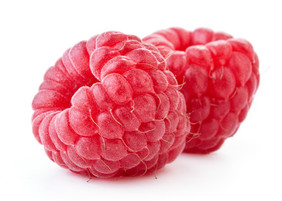 新鲜采摘的水果树莓