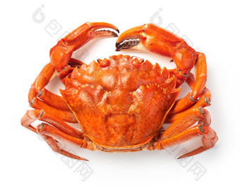 美味的螃蟹摄影图