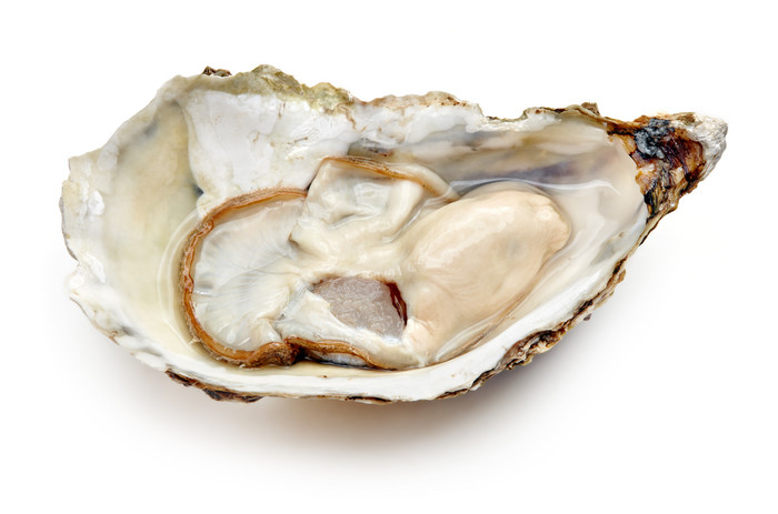 美味的食材牡蛎摄影图