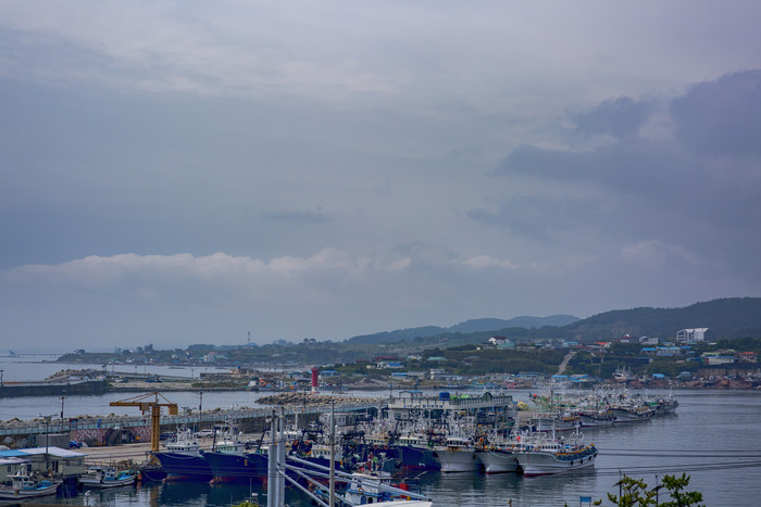 繁华海边港口摄影图