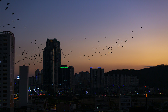 城市傍晚落日余晖摄影图