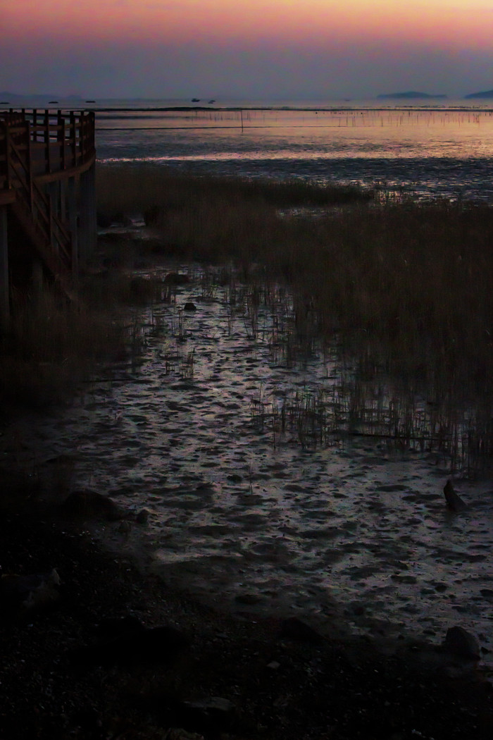 黄昏时分海边滩涂摄影图