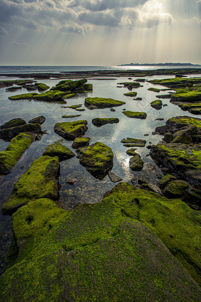 清澈海岸礁石青苔摄影图