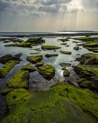 暗调风海岸<strong>礁石</strong>青苔摄影图