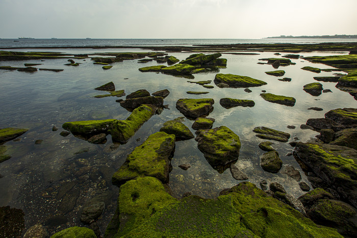 暗调海岸礁石青苔自然摄影图