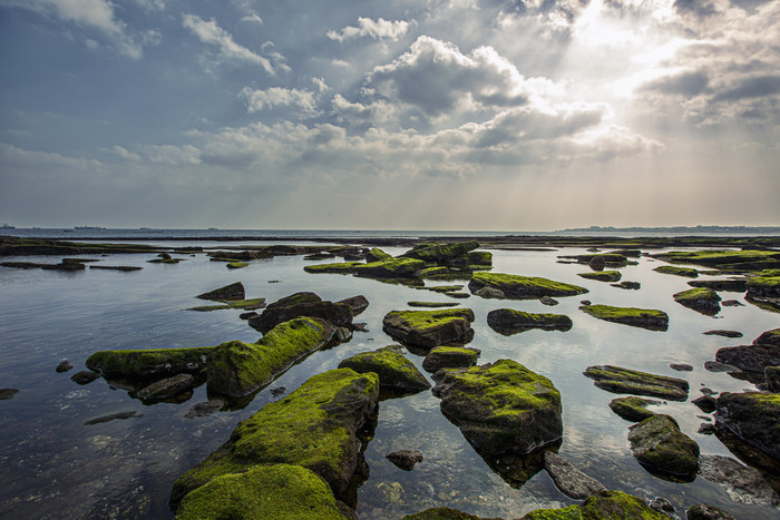 阳光海岸礁石青苔摄影图