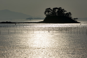 海岸边烈日水面粼粼摄影图