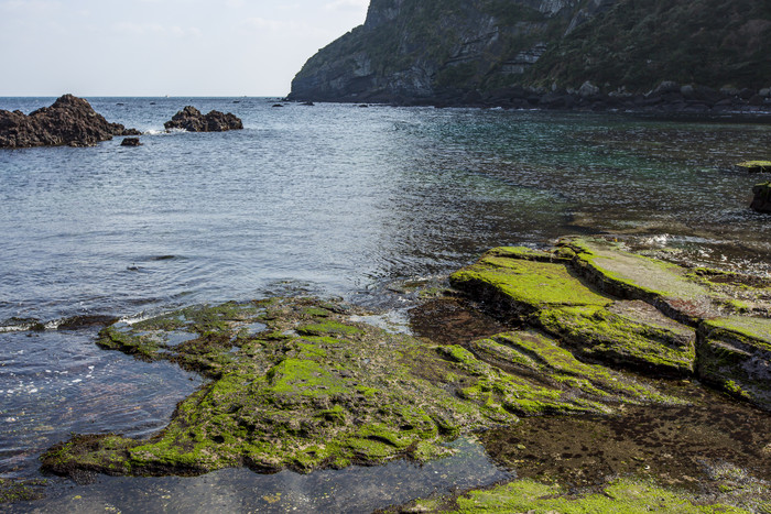 清新海岸边礁石青苔摄影图
