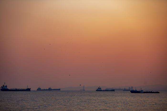 海边港口橘红晚霞飞鸟摄影图