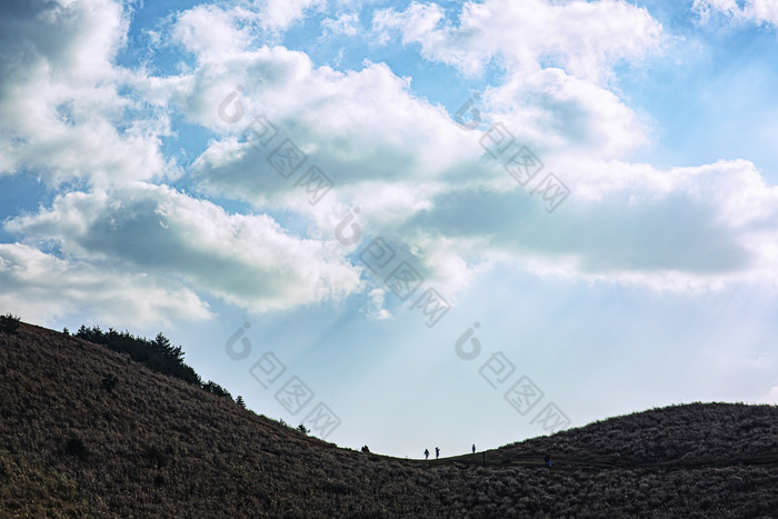 阳光明媚山坡草地摄影图