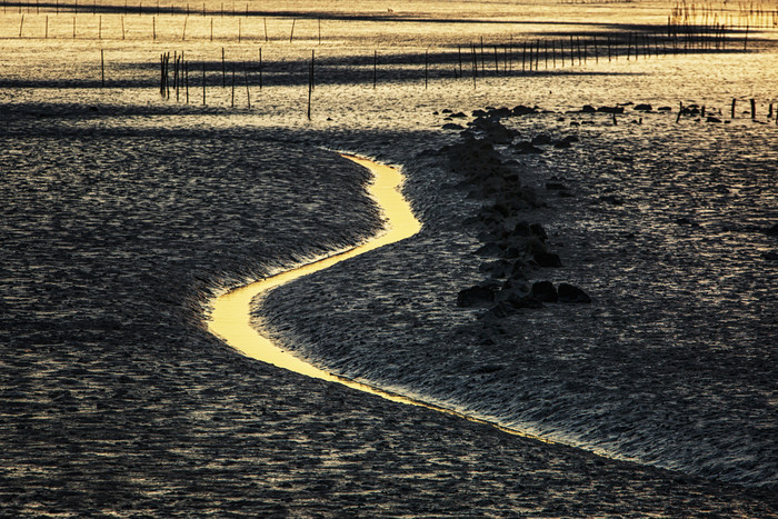黄昏时分滩涂地水流摄影图